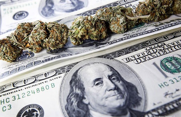 make money growing weed legally